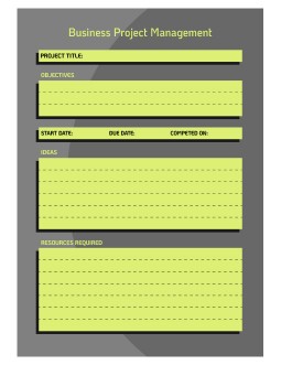 Lime Business Project Management - free Google Docs Template - 3284
