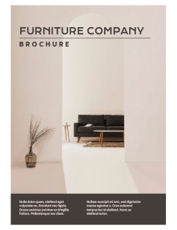 Furniture Company Brochure