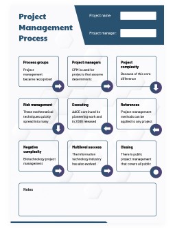 Blue Project Management Process