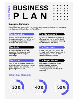 One-Page IT Company Business Plan