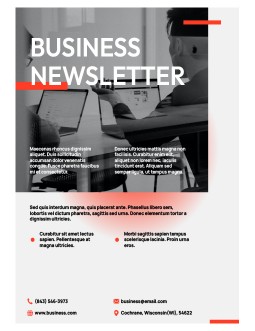 Business Newsletter with Red Gradient